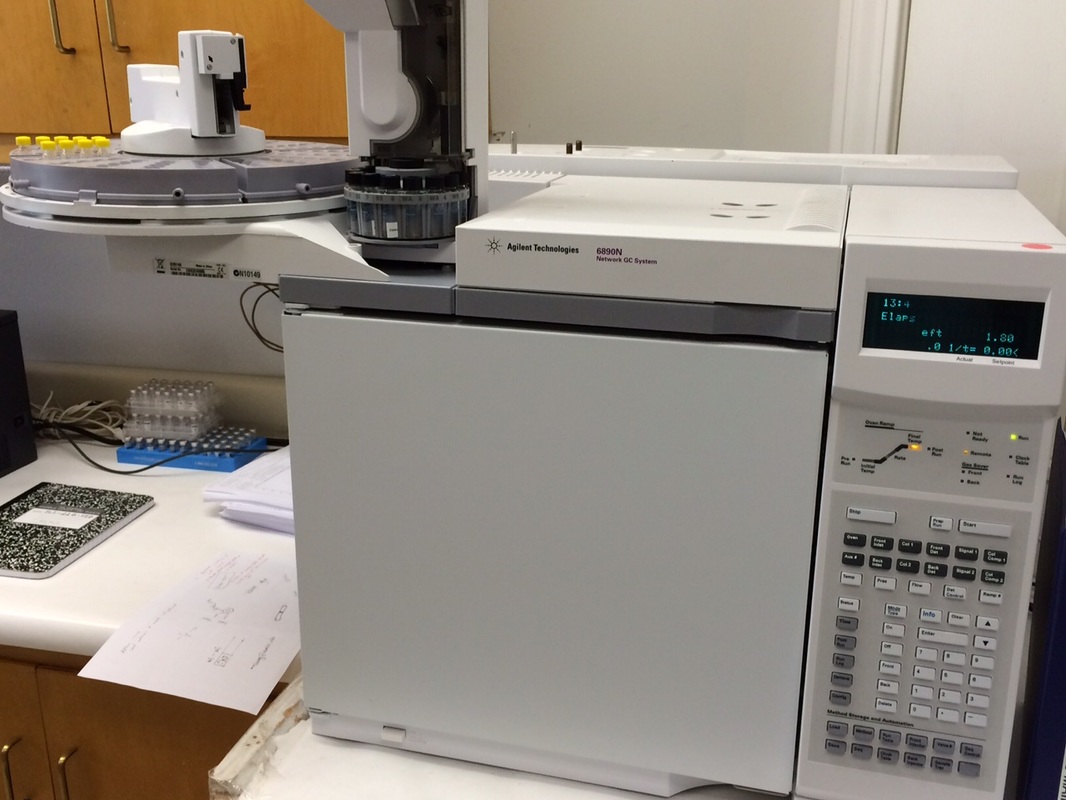 Agilent 6890N GC-FID